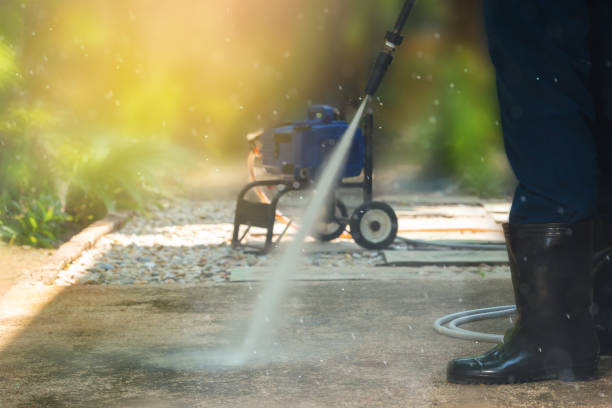 Best House Exterior Washing  in Detroit Beach, MI